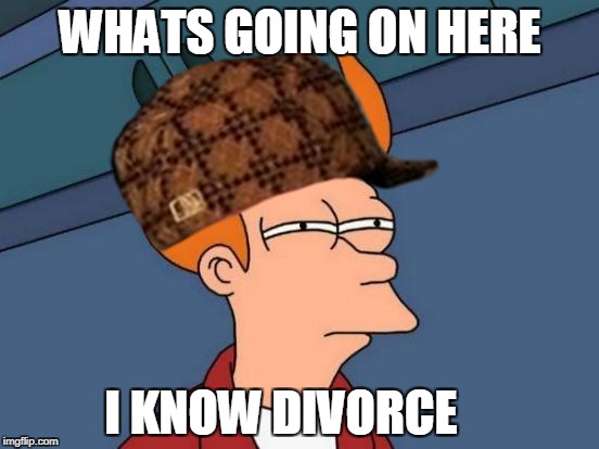 Futurama Fry | WHATS GOING ON HERE; I KNOW DIVORCE | image tagged in memes,futurama fry,scumbag | made w/ Imgflip meme maker