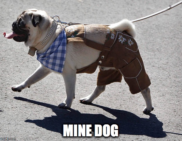 MINE DOG | made w/ Imgflip meme maker