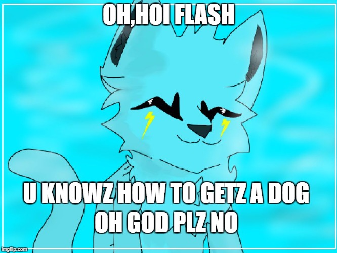 OH,HOI FLASH; U KNOWZ HOW TO GETZ A DOG; OH GOD PLZ NO | image tagged in flash | made w/ Imgflip meme maker