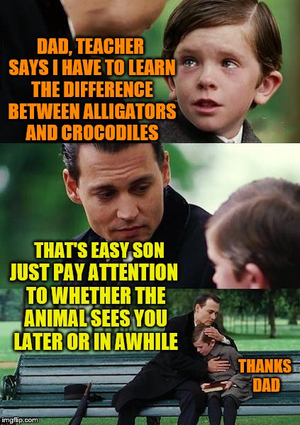 More good parenting tips | DAD, TEACHER SAYS I HAVE TO LEARN THE DIFFERENCE BETWEEN ALLIGATORS AND CROCODILES; THAT'S EASY SON; JUST PAY ATTENTION TO WHETHER THE ANIMAL SEES YOU LATER OR IN AWHILE; THANKS DAD | image tagged in memes,finding neverland | made w/ Imgflip meme maker