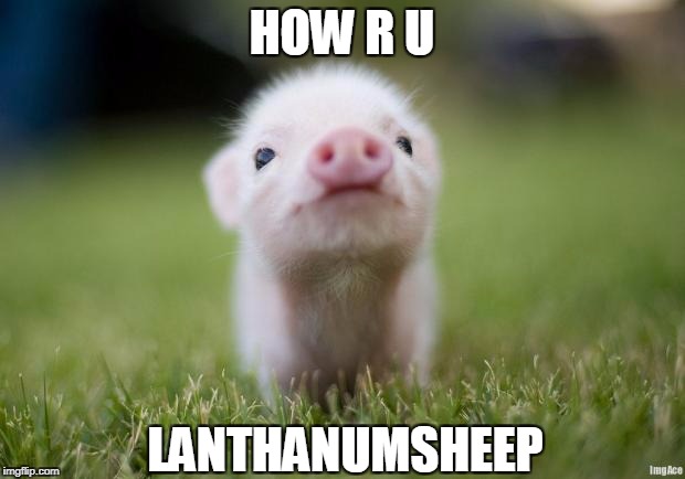 piglet | HOW R U; LANTHANUMSHEEP | image tagged in piglet | made w/ Imgflip meme maker