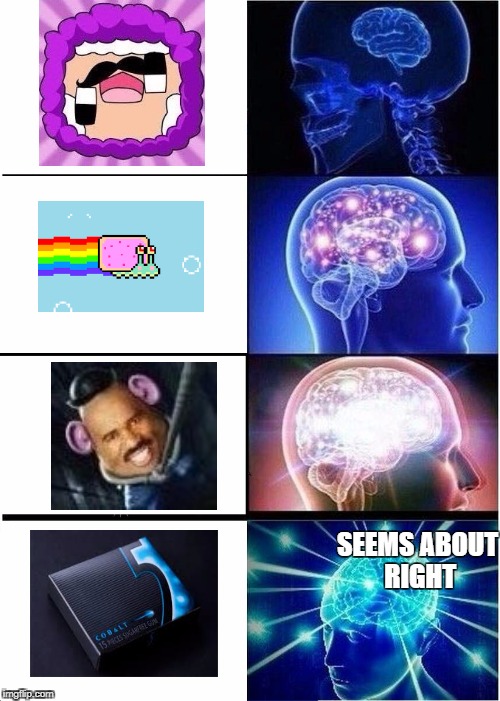 Expanding Brain Meme | SEEMS ABOUT RIGHT | image tagged in memes,expanding brain | made w/ Imgflip meme maker