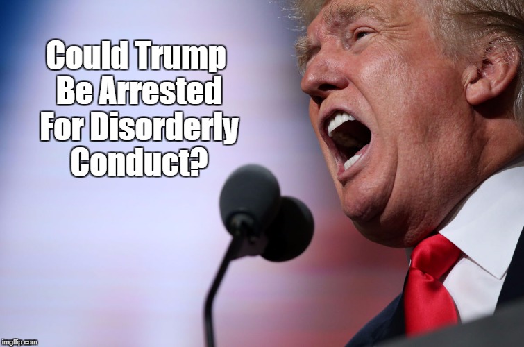 Could Trump Be Arrested For Disorderly Conduct? | made w/ Imgflip meme maker
