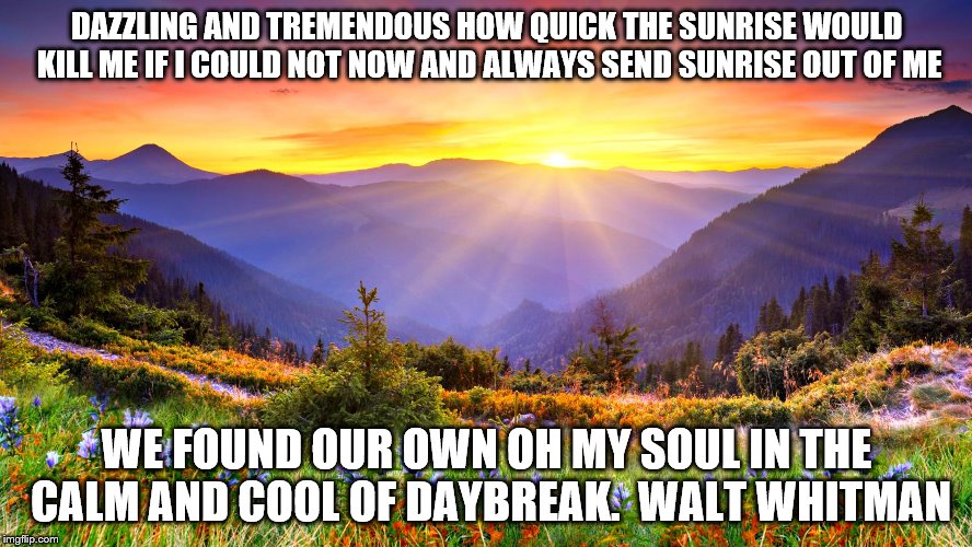 Sunrise | DAZZLING AND TREMENDOUS HOW QUICK THE SUNRISE WOULD KILL ME IF I COULD NOT NOW AND ALWAYS SEND SUNRISE OUT OF ME; WE FOUND OUR OWN OH MY SOUL IN THE CALM AND COOL OF DAYBREAK.  WALT WHITMAN | image tagged in sunrise | made w/ Imgflip meme maker