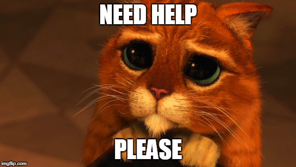 NEED HELP; PLEASE | image tagged in shrek cat,help | made w/ Imgflip meme maker