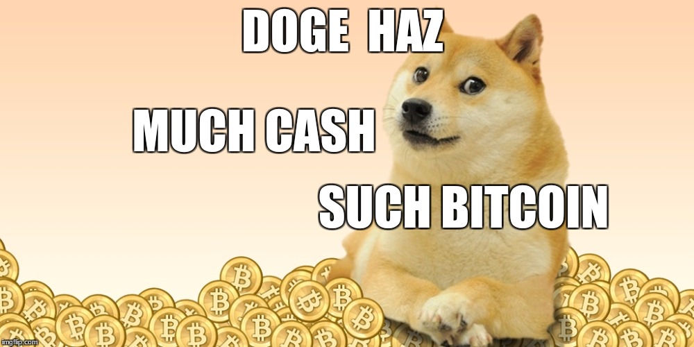 Doge Coin Imgflip