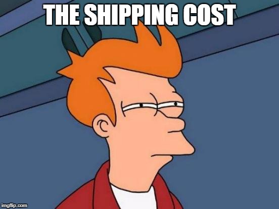 Futurama Fry Meme | THE SHIPPING COST | image tagged in memes,futurama fry | made w/ Imgflip meme maker