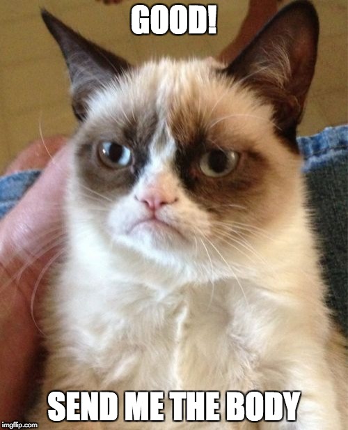 Grumpy Cat Meme | GOOD! SEND ME THE BODY | image tagged in memes,grumpy cat | made w/ Imgflip meme maker