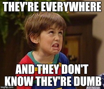 THEY'RE EVERYWHERE AND THEY DON'T KNOW THEY'RE DUMB | image tagged in wtf kid | made w/ Imgflip meme maker