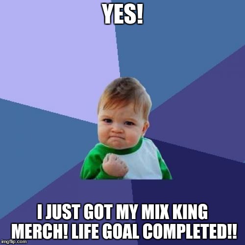 Success Kid Meme | YES! I JUST GOT MY MIX KING MERCH! LIFE GOAL COMPLETED!! | image tagged in memes,success kid | made w/ Imgflip meme maker