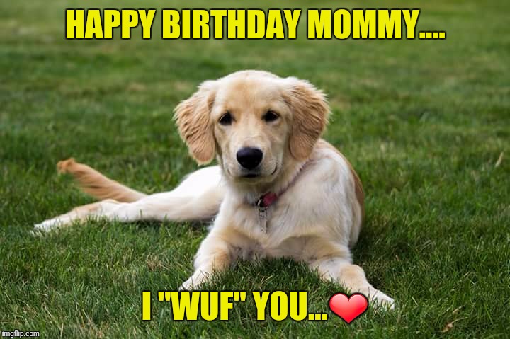 HAPPY BIRTHDAY MOMMY.... I "WUF" YOU...❤ | image tagged in kmr827 | made w/ Imgflip meme maker