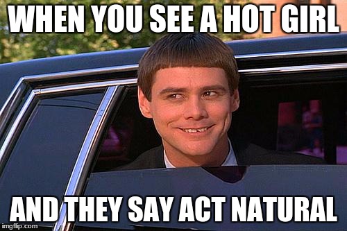 cool and stupid | WHEN YOU SEE A HOT GIRL; AND THEY SAY ACT NATURAL | image tagged in cool and stupid | made w/ Imgflip meme maker