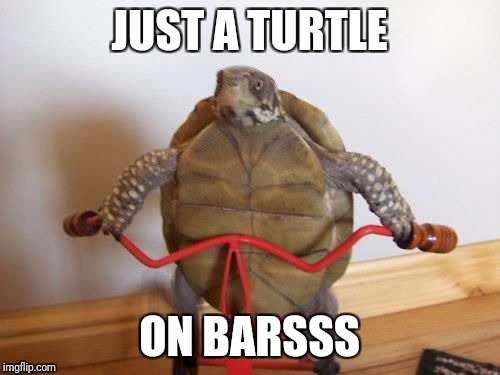 Saw Turtle  | JUST A TURTLE; ON BARSSS | image tagged in saw turtle | made w/ Imgflip meme maker