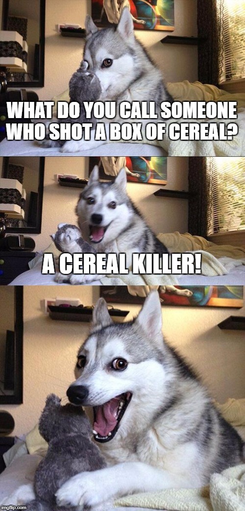 Bad Pun Dog Meme | WHAT DO YOU CALL SOMEONE WHO SHOT A BOX OF CEREAL? A CEREAL KILLER! | image tagged in memes,bad pun dog,funny,cereal,kill,puns | made w/ Imgflip meme maker