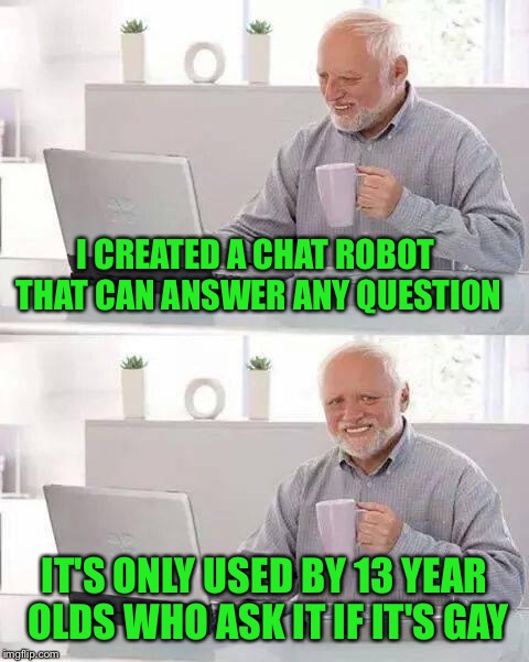 Hide the Pain Harold | I CREATED A CHAT ROBOT THAT CAN ANSWER ANY QUESTION; IT'S ONLY USED BY 13 YEAR OLDS WHO ASK IT IF IT'S GAY | image tagged in memes,hide the pain harold | made w/ Imgflip meme maker