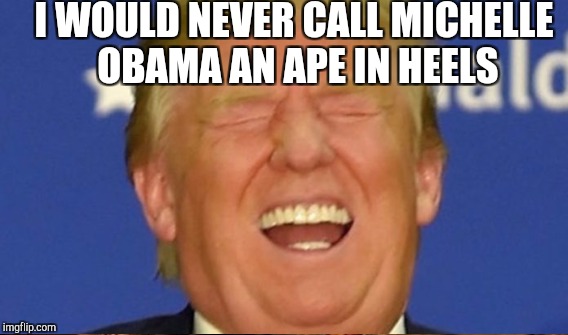 I WOULD NEVER CALL MICHELLE OBAMA AN APE IN HEELS | made w/ Imgflip meme maker