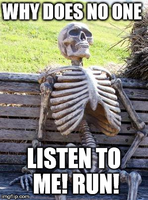 My "test" subject by Danklordmeme | WHY DOES NO ONE LISTEN TO ME! RUN! | image tagged in memes,waiting skeleton | made w/ Imgflip meme maker