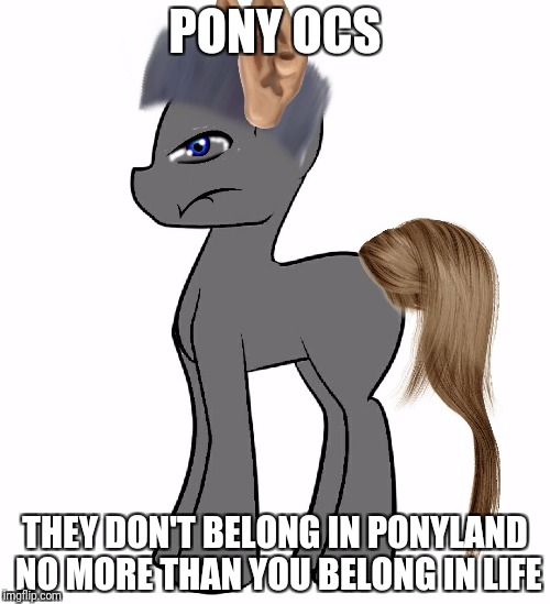 I tried to give him my inner darkness | PONY OCS; THEY DON'T BELONG IN PONYLAND NO MORE THAN YOU BELONG IN LIFE | image tagged in pony oc,my little pony,suicide | made w/ Imgflip meme maker