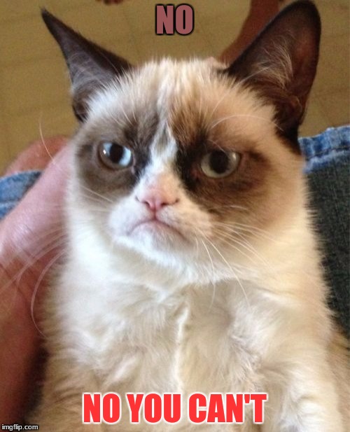 Grumpy Cat Meme | NO NO YOU CAN'T | image tagged in memes,grumpy cat | made w/ Imgflip meme maker