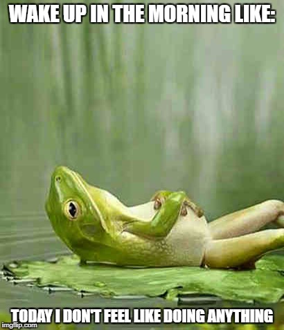 Lazy Frog | WAKE UP IN THE MORNING LIKE:; TODAY I DON'T FEEL LIKE DOING ANYTHING | image tagged in lazy frog | made w/ Imgflip meme maker