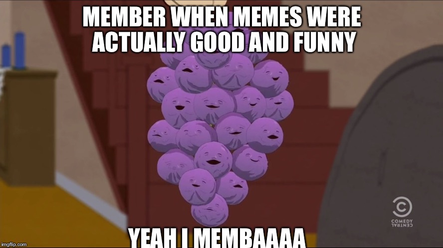 Member Berries Meme | MEMBER WHEN MEMES WERE ACTUALLY GOOD AND FUNNY; YEAH I MEMBAAAA | image tagged in memes,member berries | made w/ Imgflip meme maker