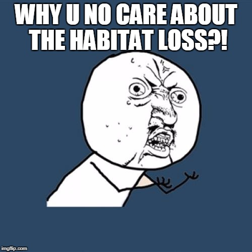 Y U No Meme | WHY U NO CARE ABOUT THE HABITAT LOSS?! | image tagged in memes,y u no | made w/ Imgflip meme maker