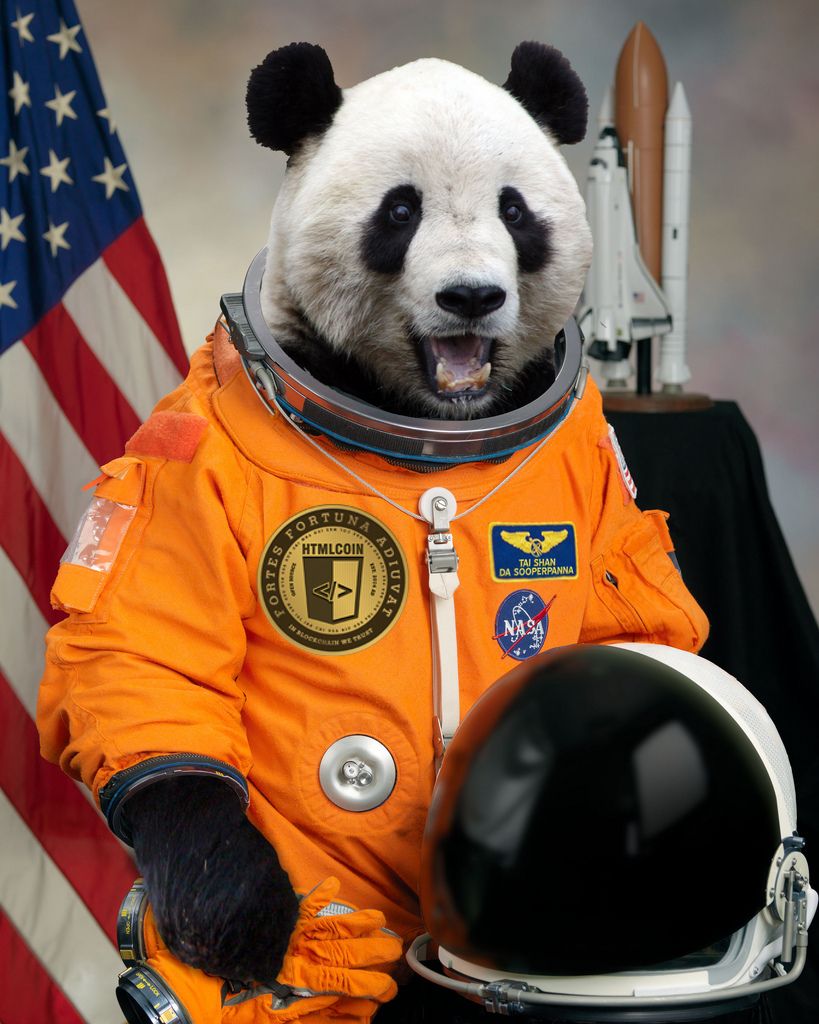 High Quality Space Panda Blank Meme Template