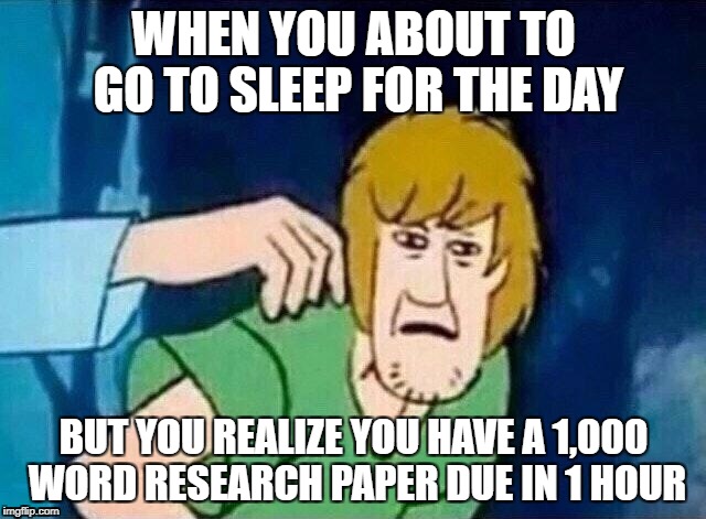 Scooby Doo Shaggy  | WHEN YOU ABOUT TO GO TO SLEEP FOR THE DAY; BUT YOU REALIZE YOU HAVE A 1,000 WORD RESEARCH PAPER DUE IN 1 HOUR | image tagged in scooby doo shaggy | made w/ Imgflip meme maker