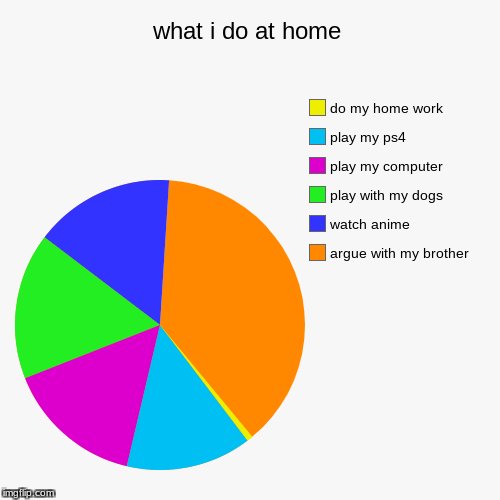 WHAT I DO AT MY HOUSE | image tagged in funny,pie charts,my life at home | made w/ Imgflip chart maker