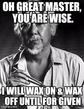 OH GREAT MASTER, YOU ARE WISE. I WILL WAX ON & WAX OFF UNTIL FOR GIVEN | image tagged in master | made w/ Imgflip meme maker
