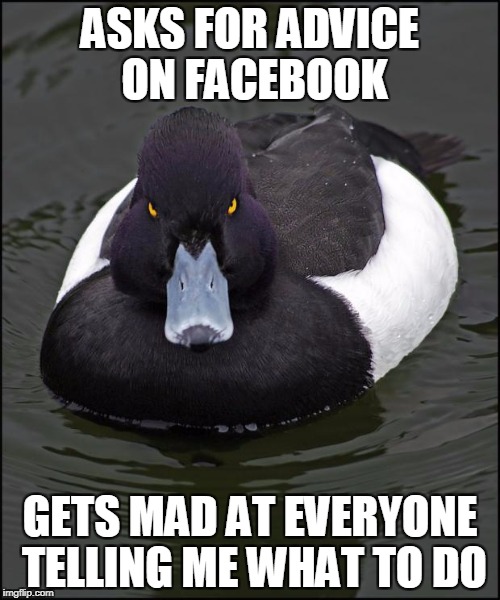 Angry duck | ASKS FOR ADVICE ON FACEBOOK; GETS MAD AT EVERYONE TELLING ME WHAT TO DO | image tagged in angry duck | made w/ Imgflip meme maker