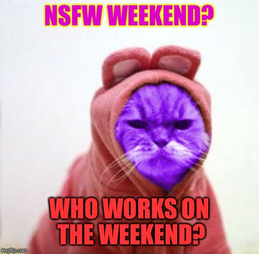 Sullen RayCat | NSFW WEEKEND? WHO WORKS ON THE WEEKEND? | image tagged in sullen raycat,memes,nsfw weekend | made w/ Imgflip meme maker