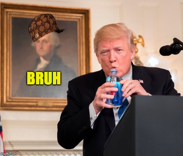 Trump Bruh Moments 3 | BRUH | image tagged in donald trump,trump,bruh,george washington,trump moments | made w/ Imgflip meme maker
