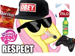 MLG Pony | RESPECT | image tagged in mlg pony | made w/ Imgflip meme maker