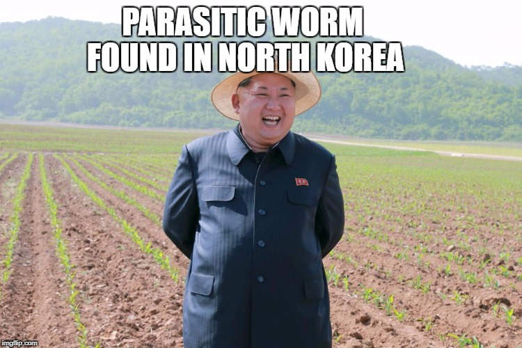 Kim jung un  | PARASITIC WORM FOUND IN NORTH KOREA | image tagged in kim jung un | made w/ Imgflip meme maker