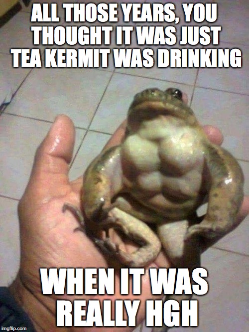 ALL THOSE YEARS, YOU THOUGHT IT WAS JUST TEA KERMIT WAS DRINKING; WHEN IT WAS REALLY HGH | image tagged in kermit buff | made w/ Imgflip meme maker