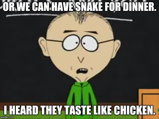 Mr Mackey | OR WE CAN HAVE SNAKE FOR DINNER. I HEARD THEY TASTE LIKE CHICKEN. | image tagged in mr mackey | made w/ Imgflip meme maker