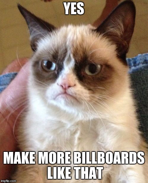 Grumpy Cat Meme | YES MAKE MORE BILLBOARDS LIKE THAT | image tagged in memes,grumpy cat | made w/ Imgflip meme maker