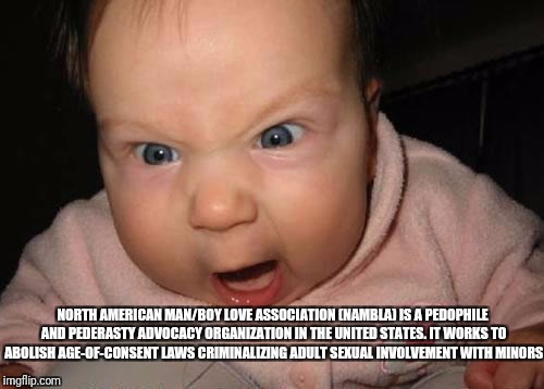 Evil Baby Meme | NORTH AMERICAN MAN/BOY LOVE ASSOCIATION (NAMBLA) IS A PEDOPHILE AND PEDERASTY ADVOCACY ORGANIZATION IN THE UNITED STATES. IT WORKS TO ABOLISH AGE-OF-CONSENT LAWS CRIMINALIZING ADULT SEXUAL INVOLVEMENT WITH MINORS | image tagged in memes,evil baby | made w/ Imgflip meme maker