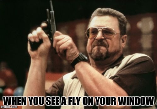 Am I The Only One Around Here | WHEN YOU SEE A FLY ON YOUR WINDOW | image tagged in memes,am i the only one around here | made w/ Imgflip meme maker