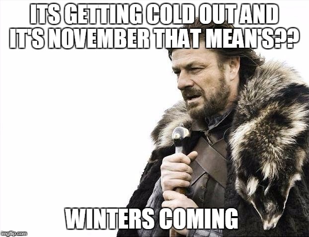 Brace Yourselves X is Coming Meme | ITS GETTING COLD OUT AND IT'S NOVEMBER THAT MEAN'S?? WINTERS COMING | image tagged in memes,brace yourselves x is coming | made w/ Imgflip meme maker