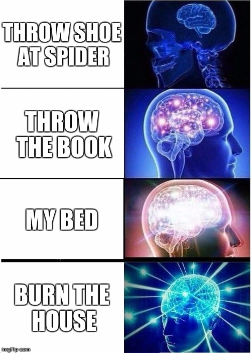 Expanding Brain Meme | THROW SHOE AT SPIDER; THROW THE BOOK; MY BED; BURN THE HOUSE | image tagged in memes,expanding brain | made w/ Imgflip meme maker
