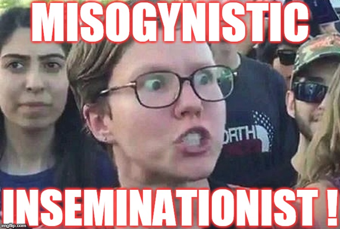 INSEMINATIONIST ! MISOGYNISTIC | made w/ Imgflip meme maker