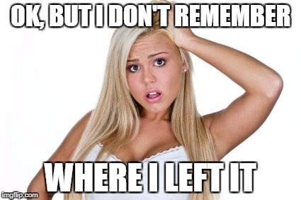 dumb blonde | OK, BUT I DON'T REMEMBER WHERE I LEFT IT | image tagged in dumb blonde | made w/ Imgflip meme maker