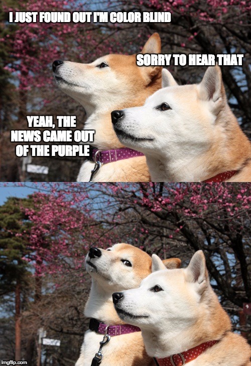 Comedianines | I JUST FOUND OUT I'M COLOR BLIND; SORRY TO HEAR THAT; YEAH, THE NEWS CAME OUT OF THE PURPLE | image tagged in funny dog memes | made w/ Imgflip meme maker