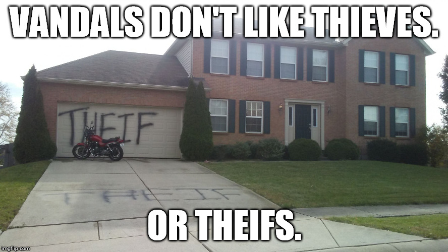 VANDALS DON'T LIKE THIEVES. OR THEIFS. | image tagged in theif,thief,vandals,irony | made w/ Imgflip meme maker