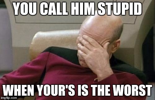 Captain Picard Facepalm Meme | YOU CALL HIM STUPID WHEN YOUR'S IS THE WORST | image tagged in memes,captain picard facepalm | made w/ Imgflip meme maker