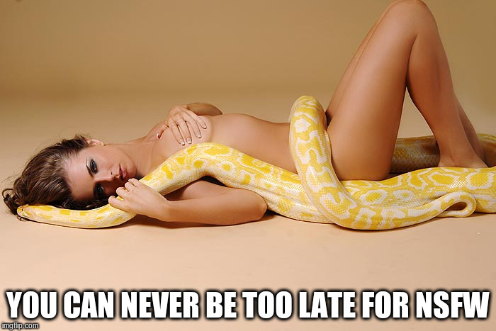 YOU CAN NEVER BE TOO LATE FOR NSFW | made w/ Imgflip meme maker
