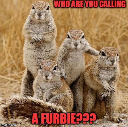 World Animal Day 2015 | WHO ARE YOU CALLING; A FURBIE??? | image tagged in world animal day 2015 | made w/ Imgflip meme maker