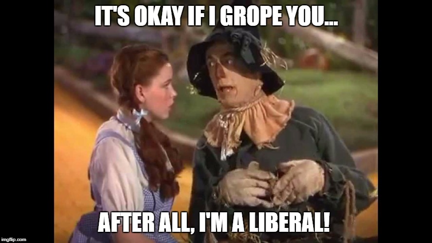 Dorothy and the Scarecrow | IT'S OKAY IF I GROPE YOU... AFTER ALL, I'M A LIBERAL! | image tagged in dorothy and the scarecrow | made w/ Imgflip meme maker